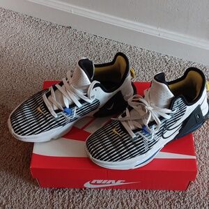 LeBron James Witness 6